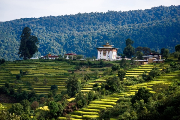 不丹六善酒店 - 不丹, 廷布，普纳卡，帕罗，崗提，布姆唐