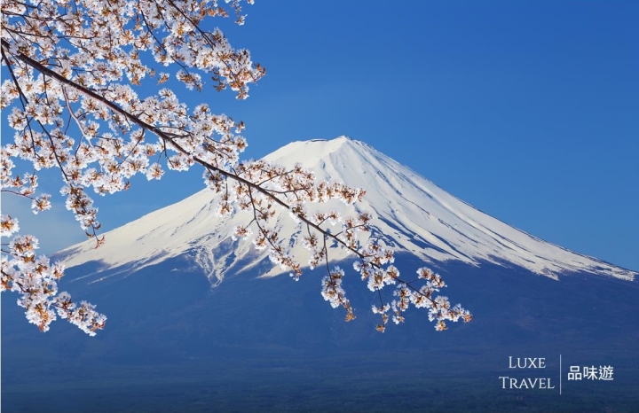 Sakura, Kanto, Private Tour, Kanto, Japan, Mount Fuiji, Hakone, Shuzennji,Atami,Shimoda, Kawazu, Luxe Travel