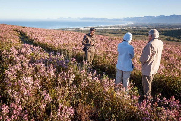 South Africa, Grootbos Private Nature Reserve, Belmond Mount Nelson Hotel, wildlife, Cape Town