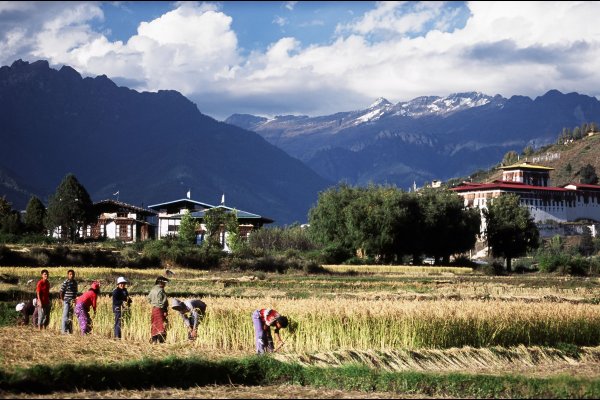 Uma by COMO, Paro, Bhutan, 不丹包團