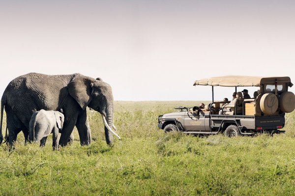 One Nature Nyaruswiga  - 坦桑尼亚| 非洲动物大迁徙| Luxe Travel