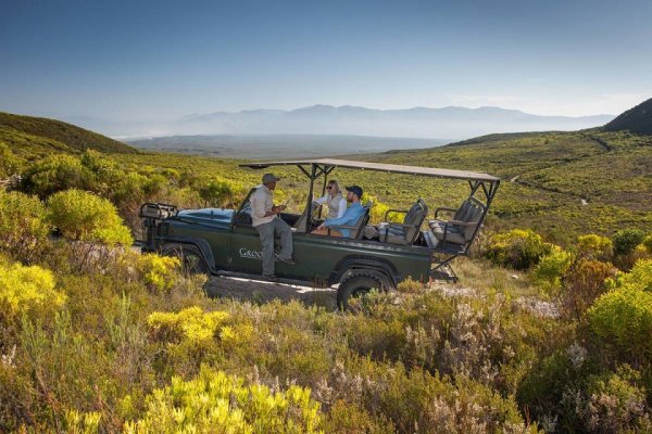 South Africa Cape Town Grootbos Private Game Reserve 南非開普敦(flight ∙ hotel ∙ package ∙ cruise ∙ private tour ∙ business ∙ M.I.C.E ∙ Luxe Travel ∙ Luxury travel  ∙ Luxury holiday  ∙ Luxe Tour  ∙包團 ∙  商務旅遊 ∙  自由行套票 ∙滑雪  ∙ 溫泉 ∙ 品味假期 ∙ 品味遊)