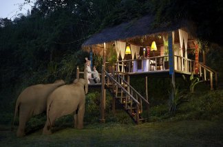 Anantara Golden Triangle Elephant Camp and Resort  - 清萊金三角象營安納塔拉度假村 - 泰國, 清萊