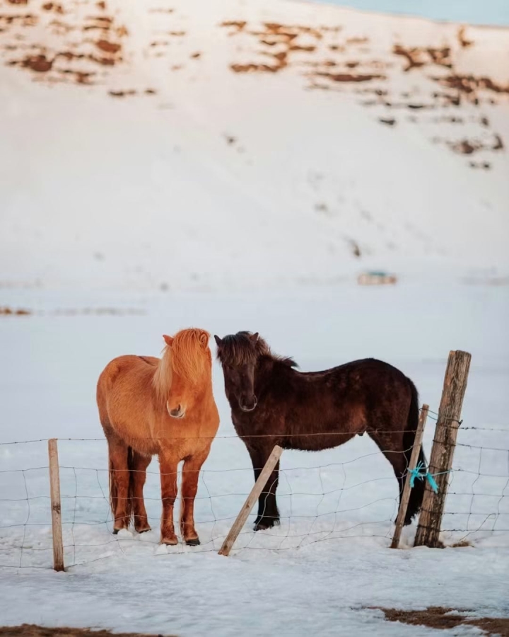 Iceland Nordic Light Hunting & Adventure Private Experiential Tour (2026-2027) 10 Days 7 Nights | Luxe Travel