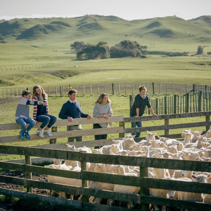 Rosewood Cape Kidnappers | Luxe Travel 