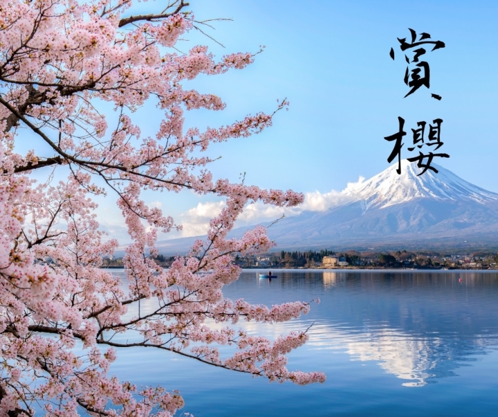 2025 Cherry Blossom Forecast Luxe Travel Luxury Travel by Luxe Travel