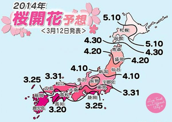 Final schedule of Japan Cherry Blossom in 2014