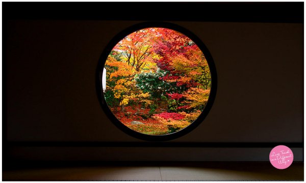 红叶季节 | 探索日本、韩国及台湾