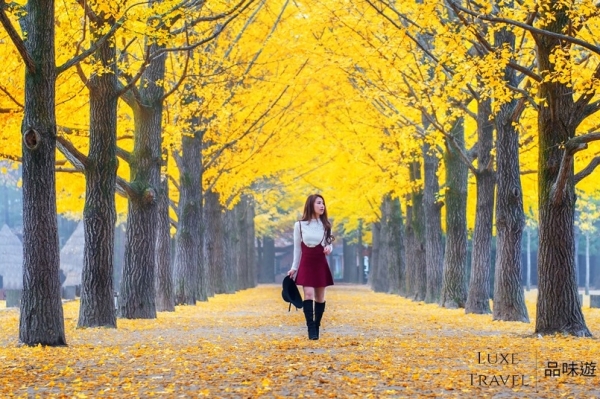 Now Is The Best Time To Go - Korea Fall Foliage Forecast 