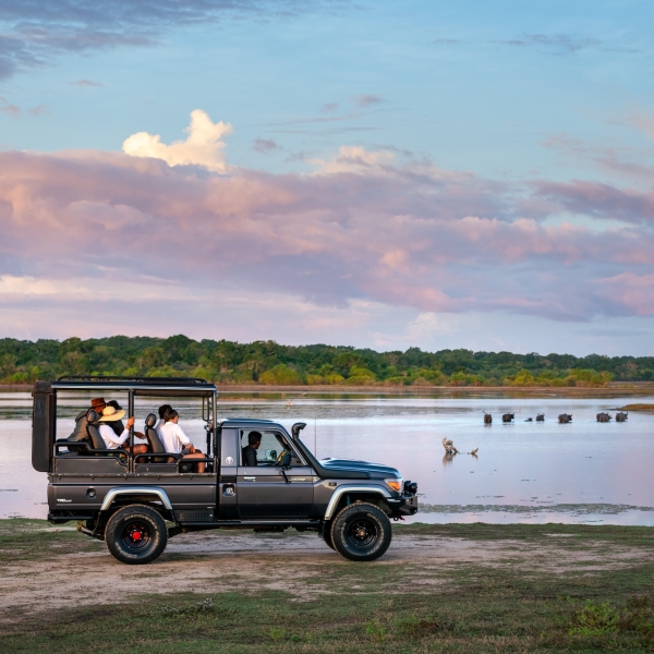 9 Days 8 Nights Private Tour to Sri Lanka | Discover Ceylon