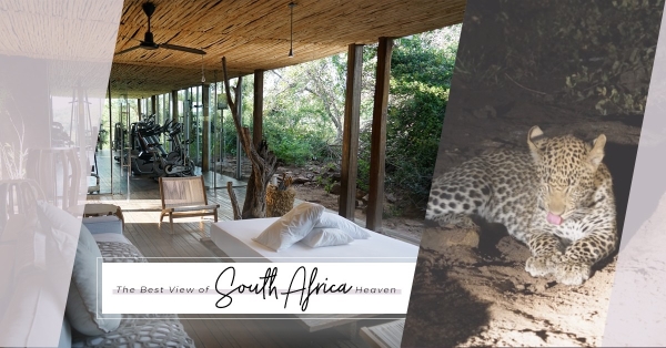 Wild Vacation：南非動物天堂酒店推介，享受野生百態的最佳角度 | 經濟通 ET Net 財經生活網